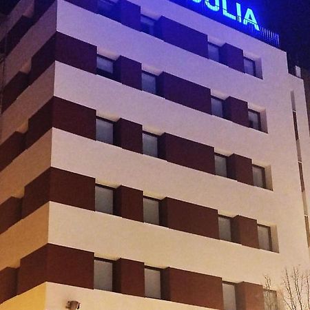 Hotel Julia Aranda de Duero Bagian luar foto